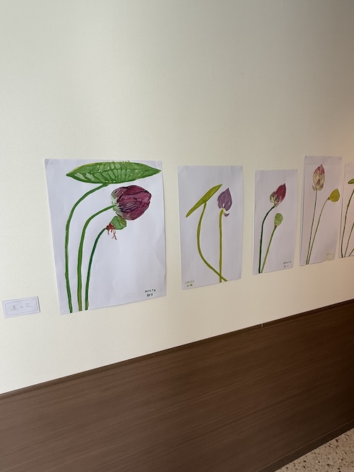 7/15（火）絵画教室　蓮の花