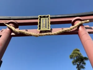 春の笠間へ外出訓練|芸術の森公園と笠間稲荷神社を満喫しました