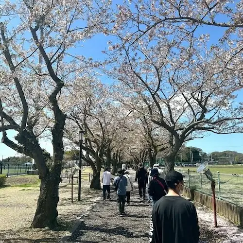 ぽかぽか陽気の中で阿漕ケ浦公園の桜を楽しむ様子